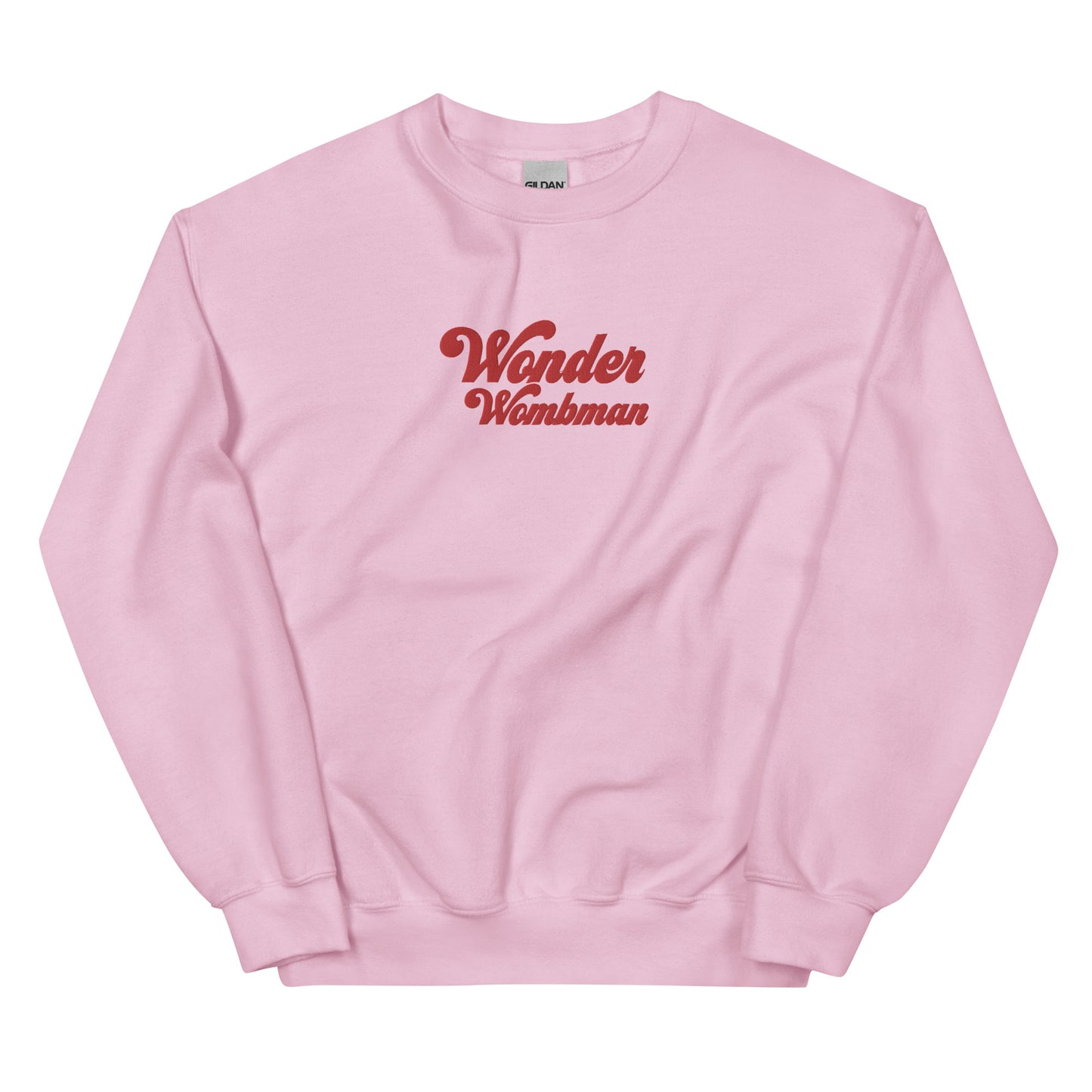 Wonder Wombman Embroidered Sweatshirt in Pink